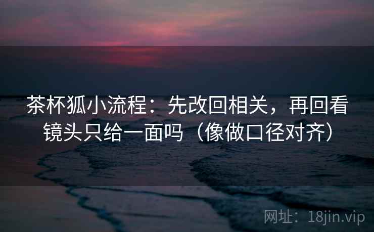 茶杯狐小流程:先改回相关,再回看镜头只给一面吗(像做口径对齐) 茶杯狐小流程:先改回相关,再回看镜头只给一面吗(像做口径对齐)