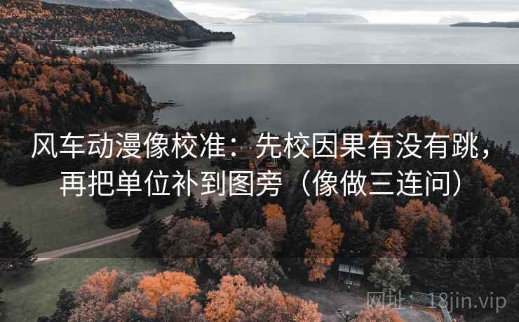 风车动漫像校准：先校因果有没有跳，再把单位补到图旁（像做三连问）